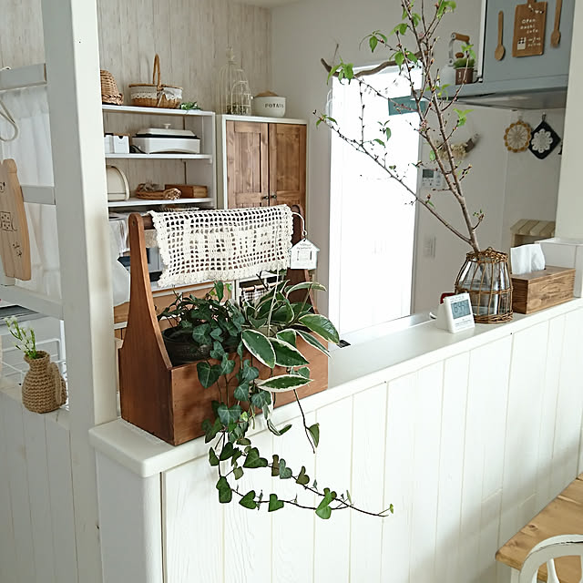 Kitchen,観葉植物,korokkoroさんの作品,葉桜,DIY,ナチュラルインテリア,桜,aminchanのくまさん,satotoちゃんのピッチャー,sunnyちゃんの作品,かご,白×茶,窓枠DIY haru-yuaの部屋