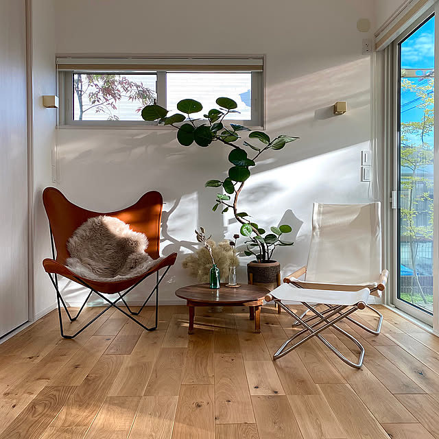 Lounge,シーグレープの木,シーグレープ,BKFチェア,BKF バタフライチェア,バタフライチェア,ニーチェアオットマン,ニーチェアX,ニーチェア,秋のくつろぎ時間,リビング,一条工務店 casa308の部屋