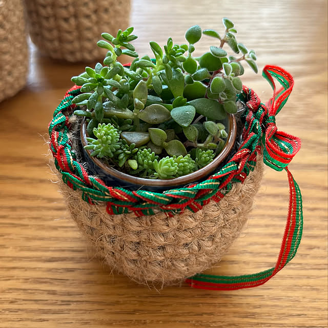 多肉植物,リボン,コクヨ麻ひも,手編み鉢カバー,イベント参加,クリスマス,My Desk kuuの部屋