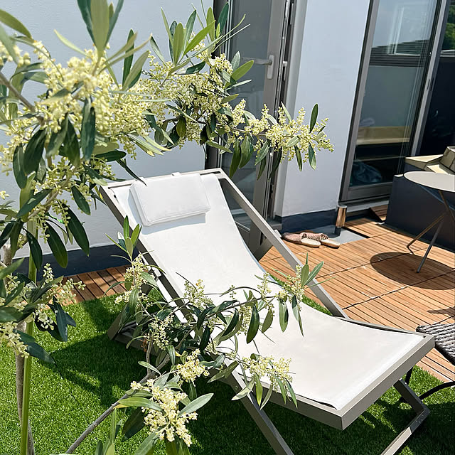 おうちじかん,オリーブの木,ベランダ,ウッドデッキ,賃貸一軒家,夫婦二人暮らし,On Walls,ベランダガーデン,オリーブ,植物のある暮らし,アウトドアリビング halupiiigの部屋