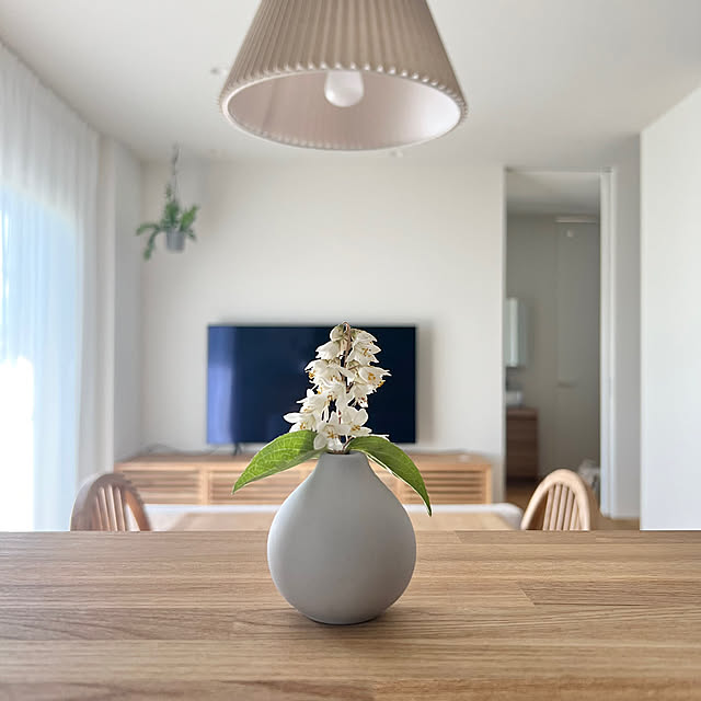 Lounge,朝活,ナチュラル,植物,花瓶,フラワーベース,季節を楽しむ,北欧,ペンダントライト,キッチンカウンター,照明 emiliの部屋