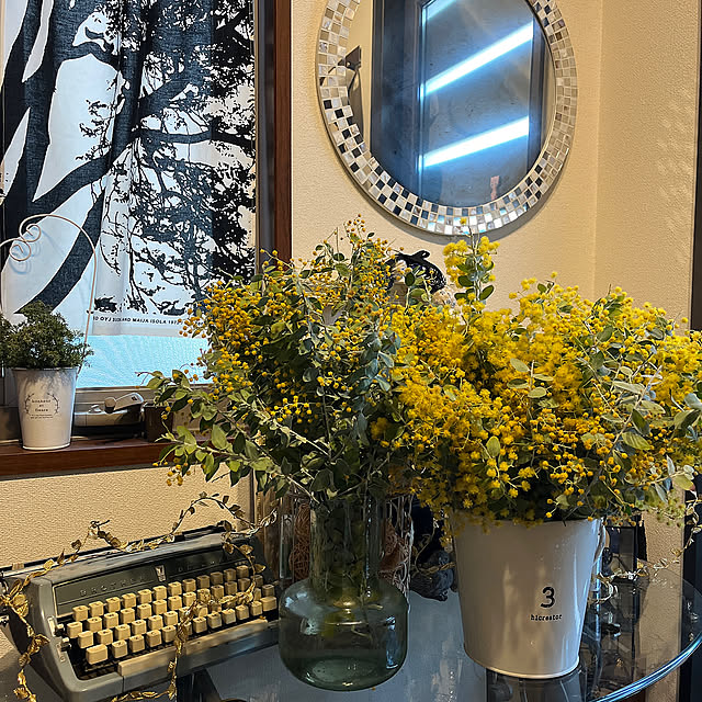 Entrance,春の模様替え,ナチュラルインテリア,ご覧頂きありがとうございます♡,植物,アカシア,春,パールアカシア,花のある暮らし,ナチュラルガーデンに憧れる felicityの部屋