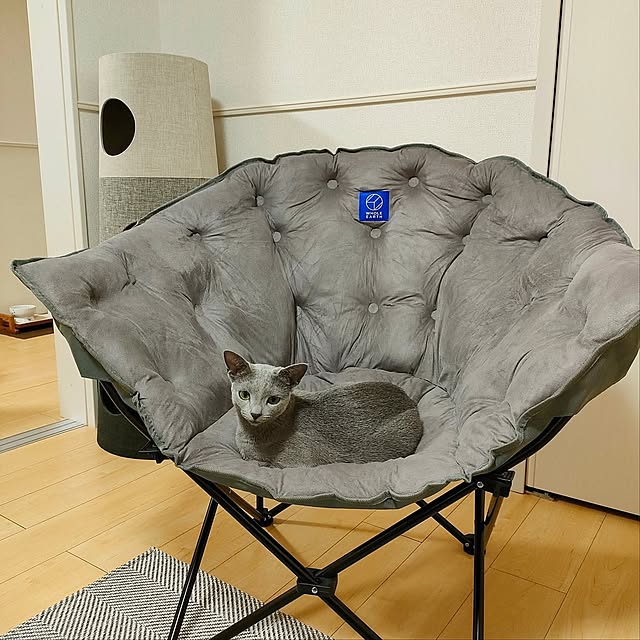 Lounge,折りたたみ式,一人暮らし,1DK,ねこのいる日常,ねこと暮らす。,アウトドアチェア,アウトドアチェアを家中で,猫のいる場所,ホールアース,クラムチェア,カインズのキャットタワー nekota802の部屋