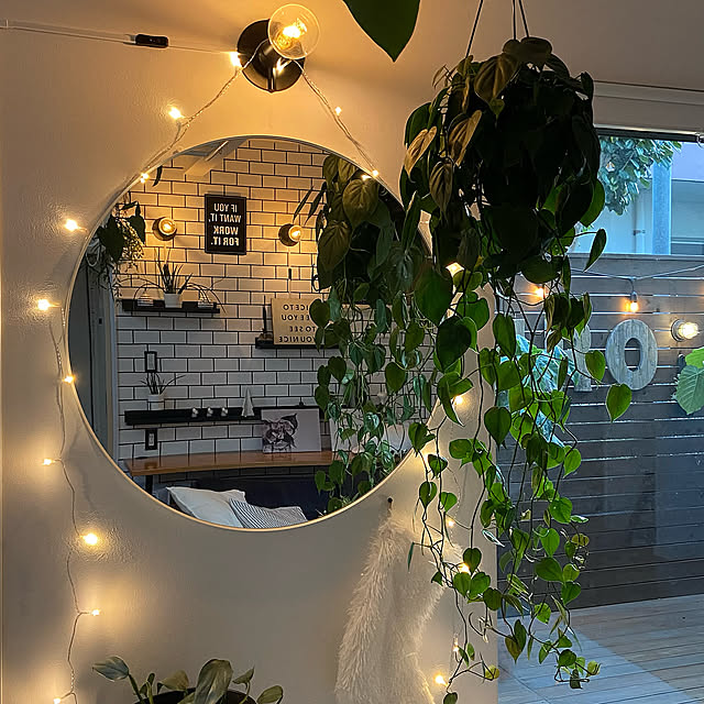 ジュエリーライト,ウォールライト,わが家の明かり,イケア　照明,IKEA,観葉植物のある暮らし,ハンギンググリーン,リビングインテリア,DIY,くつろぎ時間,IKEA 照明,グリーンのある暮らし,グリーンのある生活,植物のある暮らし,IKEAの鏡,Lounge kobami_styleの部屋