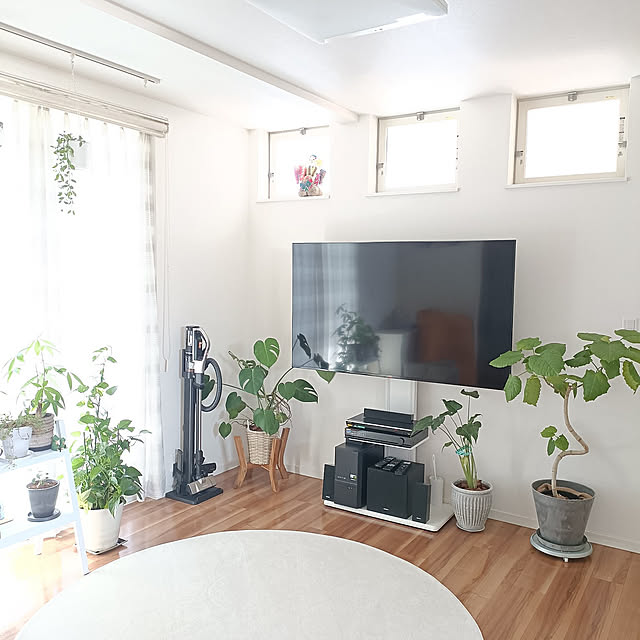 Lounge,観葉植物のある暮らし,観葉植物,モンステラ,テレビ台,テレビスタンド,白好き,グリーンのある暮らし,癒やしの空間 yumimitoatamaloveの部屋