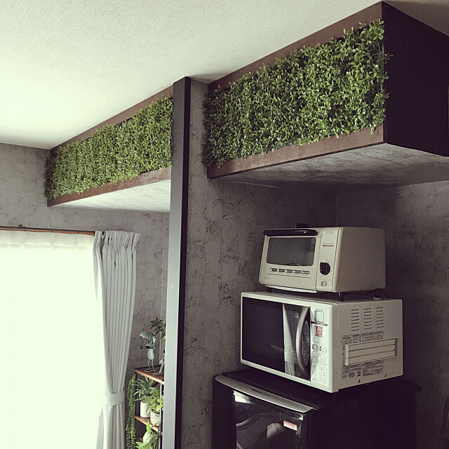 男前,DIY,一人暮らし,観葉植物,フェイクグリーン,On Walls pidocchioの部屋