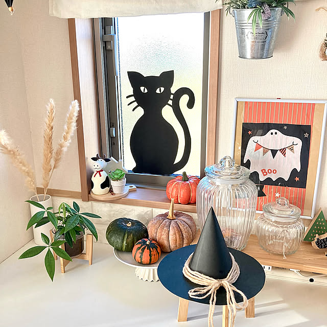 パキラ,観葉植物,かぼちゃ,工作,ハロウィンパーティー,黒猫,窓際,ハロウィン,ドライフラワー,ダイソー,ナチュラル,建売住宅,こどもと暮らす,ハンドメイド,My Shelf merutoの部屋