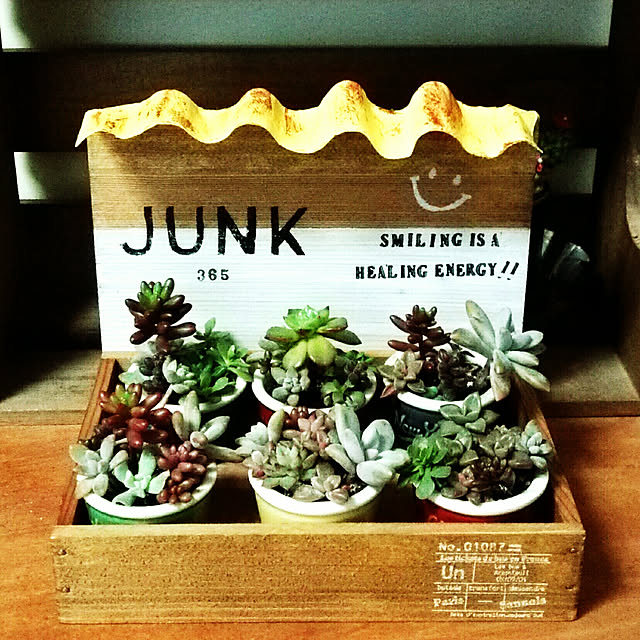 Lounge,10000人の暮らし,お家にあるもので,植物のある暮らし,リメ缶,Junk style,多肉植物,NO GREEN NO LIFE,セリア,多肉寄せ植え,ガーデニング,セリアディップカップ,トタン屋根,空き缶でトタン屋根,ステンシル,木箱,木箱リメイク,多肉棚,スマイル sakusakuの部屋