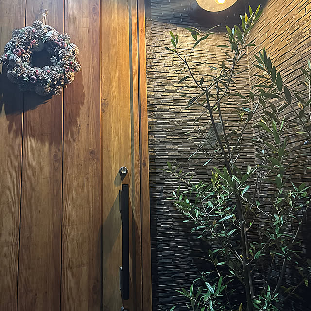 Entrance,クリスマス,玄関ドアはLIXIL,玄関ドア,玄関横,シンボルツリーはオリーブ,シンボルツリー,オリーブ,オリーブの木 iの部屋