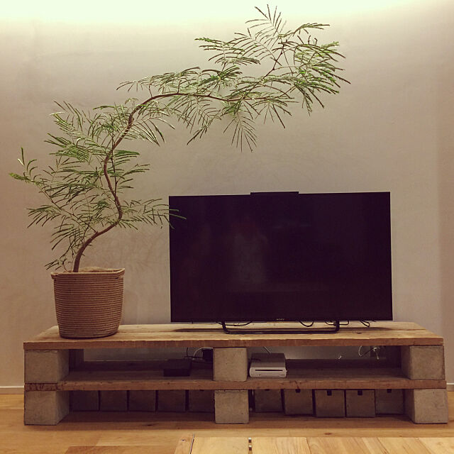 Lounge,観葉植物,DIY,男前 miyukiの部屋