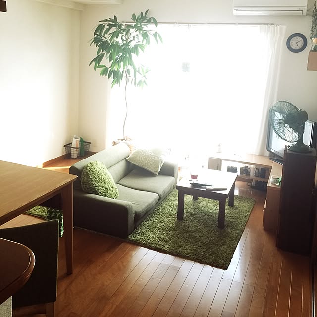 Lounge,賃貸,インコ,芝生ラグ,IKEA,植物,ローソファー,鳥さん,掛時計,テレビコーナー,ショウナンゴムの木,ショウナンゴム,扇風機,アイアンかご shirokinaの部屋