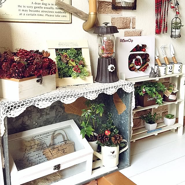 Entrance,roomclip ステッカー,ブリキ衣装ケース,クリスマス,セリア,カフェ風,ダイソー,植物,雑貨屋風,いつもいいね!ありがとうございます♪,100均,グリーン×雑貨,salut!,ナチュラルキッチン,すのこ棚,レンガシート kohakuruの部屋