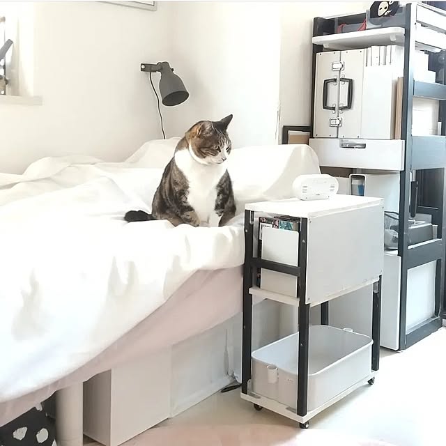 Bedroom,DIY,ピンクインテリア,子供部屋,ベッド,女の子の部屋,女子部屋,ねこと暮らす,こどもと暮らす。,中古マンション,サイドテーブルDIY,パジャマ置き場,モノトーン yuuの部屋