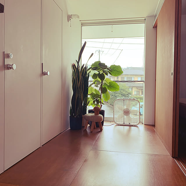 ボックスファン,LASKO BOX FAN,LASKO,扇風機・サーキュレーター,ラワン合板,シンプルモダン,Bedroom Mr.Jakeの部屋