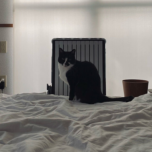 ねこと暮らす,暖をとる猫,マルチダイナミックヒーター,Bedroom 15の部屋