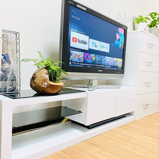 テレビまわり,ローボード,コーヒーの木,アロマティカス,ヤシの実鉢,RoomClipショッピング,おうち見直しキャンペーン,お家見直しキャンペーン,観葉植物,テレビボード,Bedroom minu5656の部屋