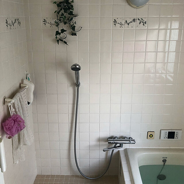 Bathroom,在来工法,シャワーヘッド,リファ ファインバブル ooodekoooの部屋