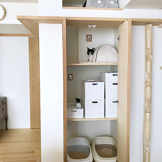 収納ボックス,つめとぎ,猫グッズ収納,猫部屋,猫トイレ,キャットウォーク,造作棚,いつもいいねありがとうございます♡,ねこのいる日常,シンプルな暮らし,はちわれ猫,おしゃべり猫,ナチュラル,キャットブラザーズ,My Shelf pooの部屋