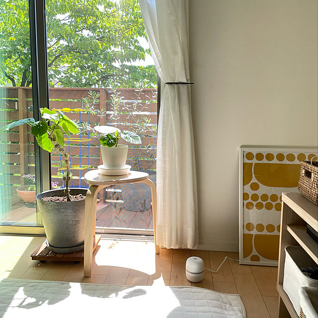ハナミズキ,狭小ウッドデッキ,IKEA,床で暮らす,カーペット,ラグ,ウンベラータ,マモルーム,快適な暮らし,虫対策,アース製薬,ダニ対策,居心地の良い家,5人家族,子供のいる暮らし,普通の家,男の子3兄弟,こどもと暮らす。,公園目の前,窓からの眺め,Lounge woodstockの部屋