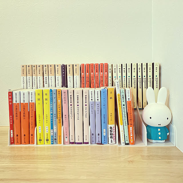 わたしの本棚,文庫本コーナー,ワッツ,キャンドゥ,2段式コミックスタンド,100均収納術,My Shelf,ミッフィー chapimaronの部屋