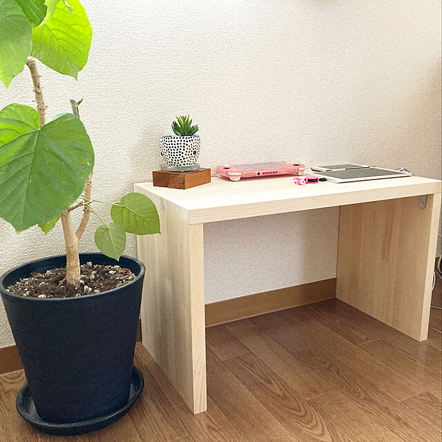 コの字家具・コの字ラック,DIY,観葉植物,My Desk aisanの部屋