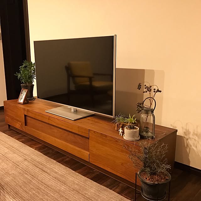 Lounge,テレビボード,レグナテック,観葉植物,植物のある暮らし,和モダン,ウォールナット,ドライフラワー,サボテン,ハグみじゅうたん,無垢材の床 tajiの部屋