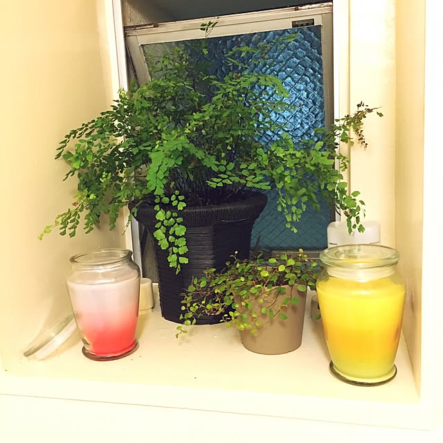 Bathroom,アロマキャンドル,バスルーム,お風呂場の窓,リラックスタイム,リラックス,賃貸でも楽しく♪,いいね！ありがとうございます◡̈♥︎,UR賃貸,一人暮らし,いいね&フォローありがとうございます☆,ありがとうございます♡,団地暮らし,団地部,バスタイム Kuroの部屋
