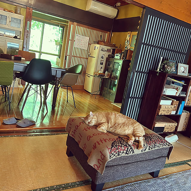 Lounge,オットマン,オットマンスツール,畳の部屋,古民家,古家具,いいね＆フォロー恐縮です,ご訪問ありがとうございます,畳にソファ,生活感,猫と暮らす,猫との暮らし,イームズ,will 冷蔵庫 choroの部屋