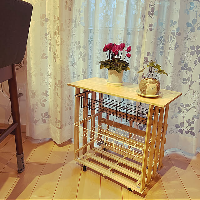 観葉植物,ダイソー,100均,DIY,セリア,My Desk kichiroの部屋