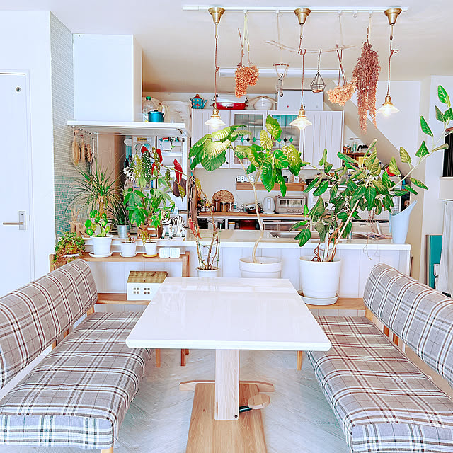 Kitchen,グリーンがいっぱい,くつろぎスペース,ペンダントライト,ベンチチェア,リラックス空間,無印良品,ダイソー,IKEA,癒し,ドライフラワー,salut!,3COINS,白い部屋,田舎暮らし,暮らしを楽しむ,流木インテリア,見て頂きありがとうございます⑅︎◡̈︎*,SHEIN,フィカスベンガレンシス,ウッドワン スイージー,ウッドワンのキッチン,ウッドワンの棚,グリーンが好き♡,グリーンと暮らす,グリーンのある暮らし,家族がくつろげる場所 nononの部屋
