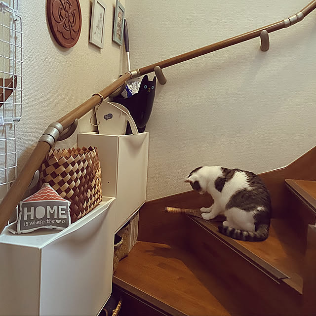 階段,猫,かご収納,ねこと暮らす,IKEA,Overview Lufuの部屋