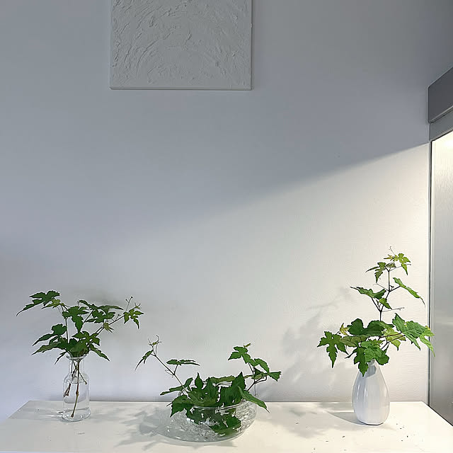 My Shelf,プライスレス✨,野草を飾る,セリア,ガラス雑貨,無印良品,ダイソー hanahana1444の部屋