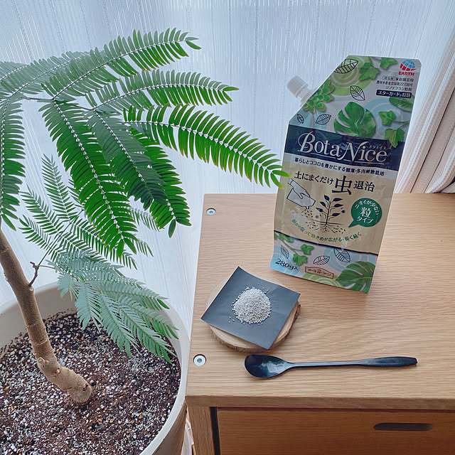 エバーフレッシュ,BotaNice,虫対策,植物のある暮らし,多肉植物,観葉植物,暮らしを楽しむ,みどりのある暮らし,観葉植物のある暮らし,土にまくだけ虫退治,Lounge yukaの部屋