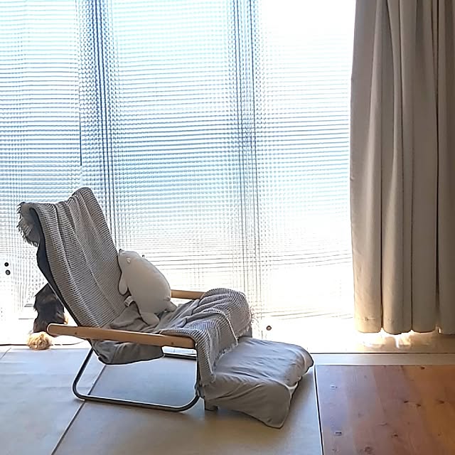 Lounge,買ってよかったもの,シャワーカーテン,ビニールカーテン,目隠しカーテン,カーテンライナー,すきま風,汚れ対策,犬との暮らし zmr.lの部屋