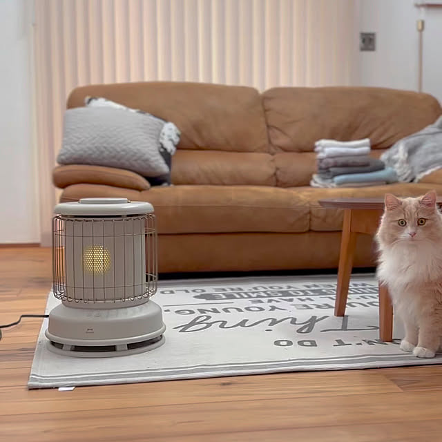 カフェ風,カフェみたいな暮らし,カフェ風インテリア,インスタやってます！,全方位型ファンヒーター,BRUNOヒーター chibinoriの部屋