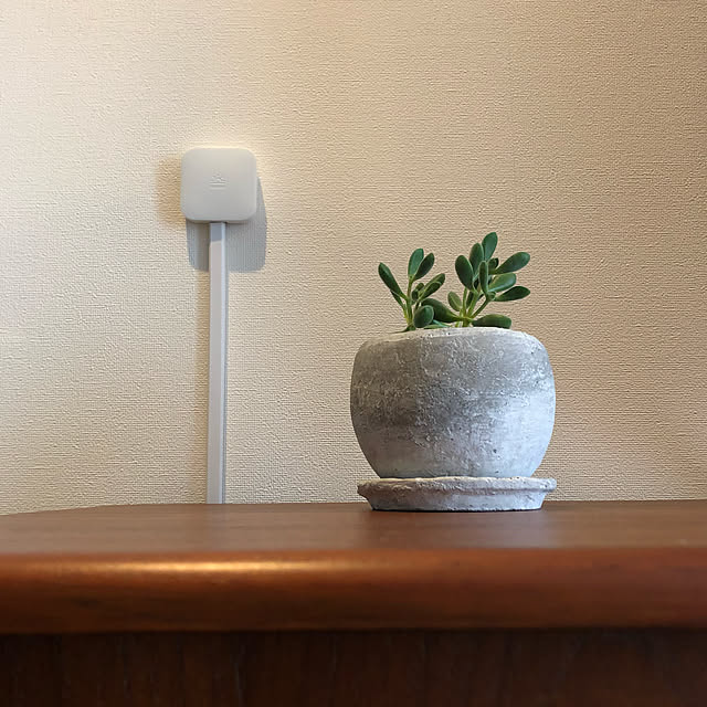 多肉植物,北欧家具,クロッケン,echo show5と連携,Nature Remo mini,スマートホーム,北欧好き,北欧,おうち快適化計画,北欧インテリア,Lounge _sakumasikiの部屋