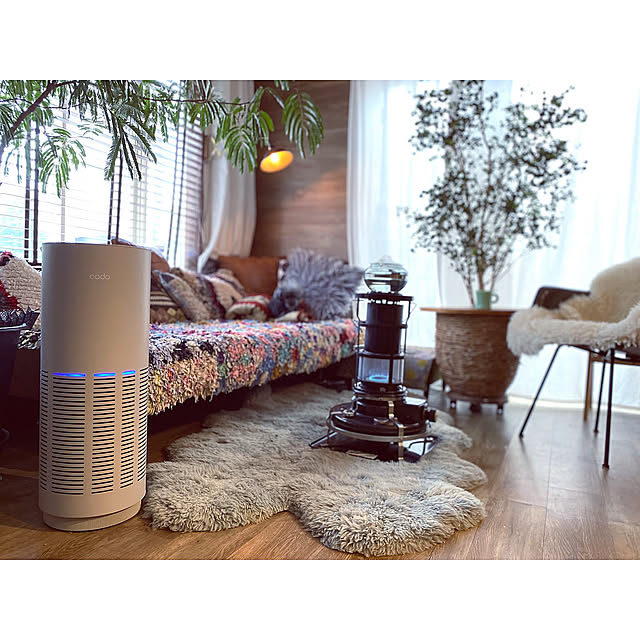 観葉植物のある暮らし,イームズ,シープスキン,ムートン,デザイン家電,cado,アラジンストーブ,ベンジャミンバロック,エバーフレッシュ,観葉植物,空気洗浄機 Megumiの部屋