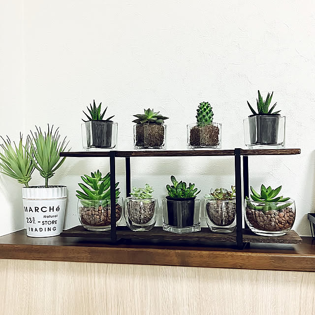 100均DIY,癒しの空間,キャンドルホルダー,ダイソー,セリア,アイアン,サボテン♡,多肉植物♡,ディスプレイコーナー,100均,ホワイト×グリーン,飾り棚,My Shelf miiの部屋