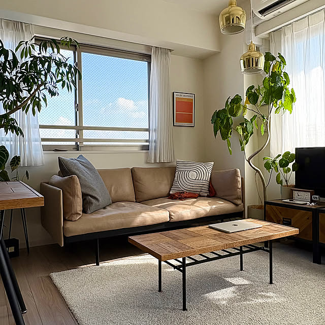 Lounge,インテリアコーディネーター,レザーソファー,NATADORA,ACTUSソファ,ACTUS(アクタス),ACTUS,ソファ,ミッドセンチュリー,賃貸インテリア,観葉植物,インテリアグリーン,ミッドセンチュリー家具,観葉植物のある生活,観葉植物のある暮らし,リビングインテリア,賃貸マンション暮らし,インテリアグリーンのある暮らし mumuの部屋