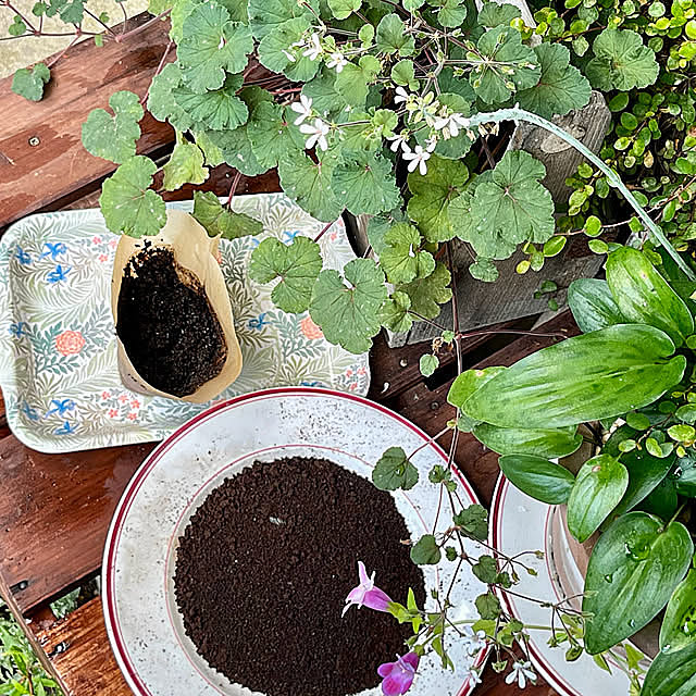 そのコーヒーかす、捨てないで！暮らしに役立つ再利用方法6選