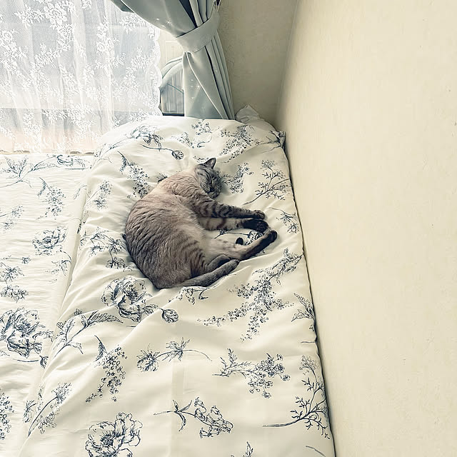 Bedroom,お昼寝中,デコホーム シャワーカーテン,ホワイトインテリア,白が好き♡,すっきり暮らす,中古一戸建て,居心地良く♡,いつも笑顔で,グレーも好き♡,フレア mieの部屋