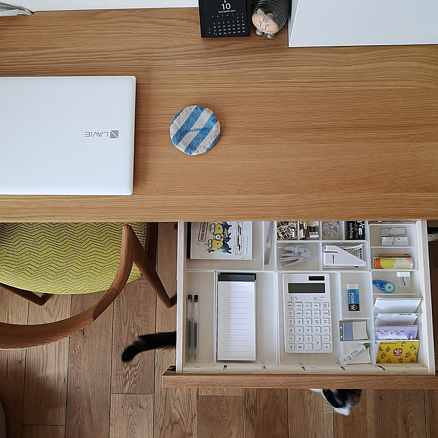 My Desk,平屋暮らし,シンプルな暮らし,丁寧に暮らすって難しい,ねこのいる風景,パソコンデスク,ねこのいる日常,ねこと暮らす。,保護猫,無垢材の床 koyurizuの部屋