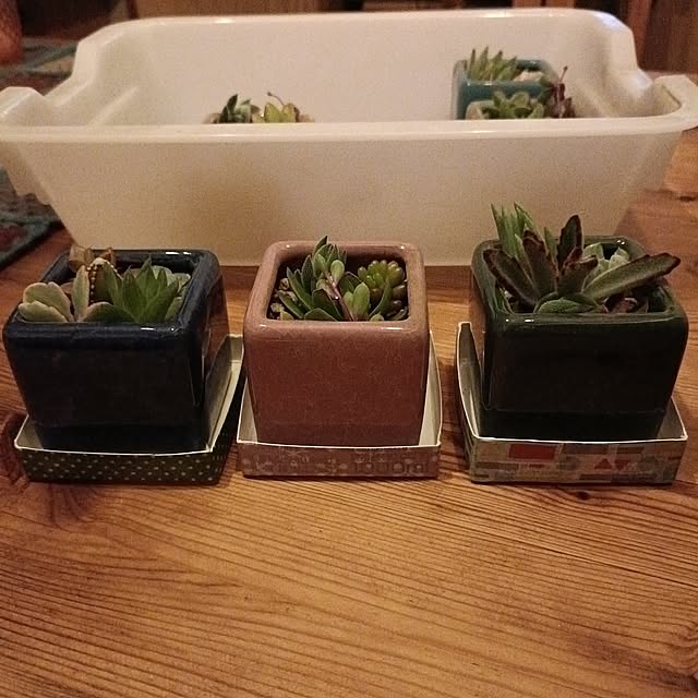 Entrance,飾りたい病,私の好きなこと,手作り,DIY,多肉植物のある暮らし,寄せ植え,牛乳パックリメイク,マステの活用 tamachan235の部屋