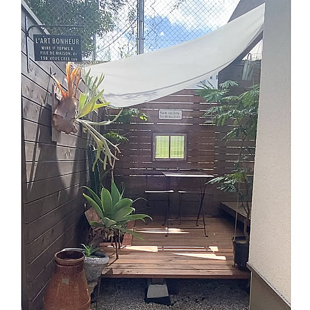 Entrance,ウッドフェンスDIY,グリーンのある暮らし,DIY大好き,ウッドデッキのある暮らし,ウッドデッキのある家,ガーデニングが好き,DIY,ウッドデッキ,ガーデン雑貨,ガーデニング雑貨,ウッドデッキgarden,ウッドデッキDIY,ウッドデッキガーデン,小さな庭 kobami_styleの部屋
