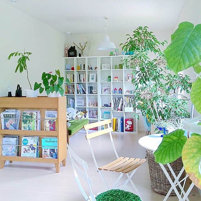 Overview,観葉植物,ナチュラル,グリーン,窓際,北欧,カリモク60,ベンジャミン,エアプランツ,ウンベラータ,キセログラフィカ,無印良品,イームズ,ガラス瓶,吹き抜け,多肉植物,本棚 masami.hの部屋