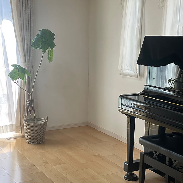 Overview,ウンベラータ,ピアノ,すっきり暮らす,観葉植物,北欧インテリア ma...の部屋