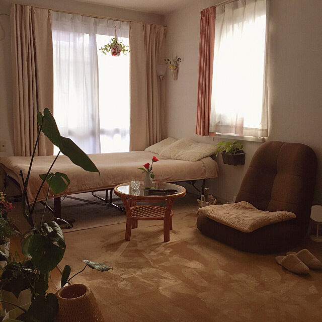 Overview,座椅子,遮光カーテン,レースカーテン,観葉植物,一人暮らし,1K RanRanの部屋