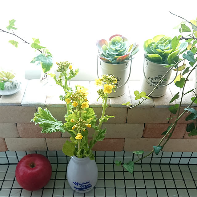 Kitchen,ひとり暮し,賃貸インテリア,いつもいいねやコメありがとうございます♡,菜の花,セリアの瓶,ハートのアイビー,セリアのタイルシート,ニトリのフェイク多肉,花のある暮らし naopyiの部屋