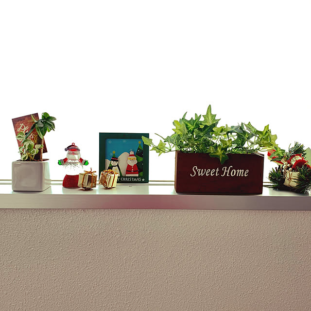 観葉植物ミニチュア,DAISO雑貨,Daiso,クリスマス,クリスマスディスプレイ,Entrance kaorinの部屋