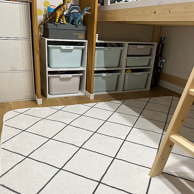 Overview,狭い部屋,ロフトベッド,おもちゃ収納,ダイソー,ナチュラル,IKEA,インテリア,雑貨,ニッチ,100均,ハンドメイド,DIY,カフェ風,北欧,ニトリ,セリア,3COINS,あかちゃんのいる部屋,整理収納アドバイザー2級,ニトリ購入品,秘密基地 キッズスペース asahinahomeの部屋